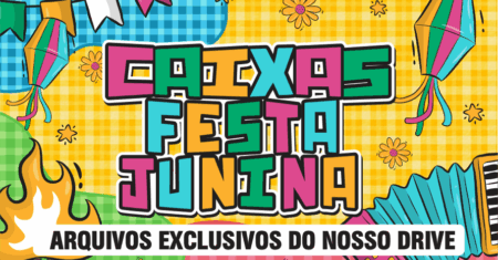 Caixas Festa Junina 01 – Disponível Apenas no Nosso Drive